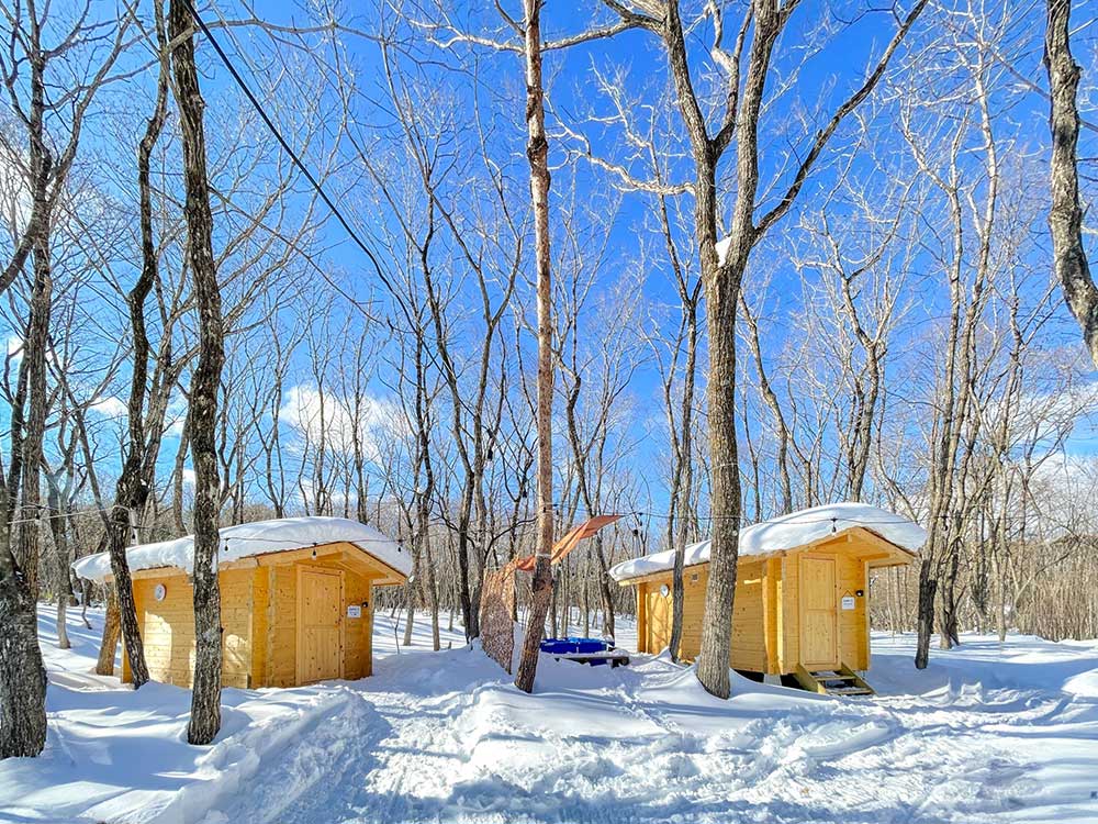 森のサウナ画像1