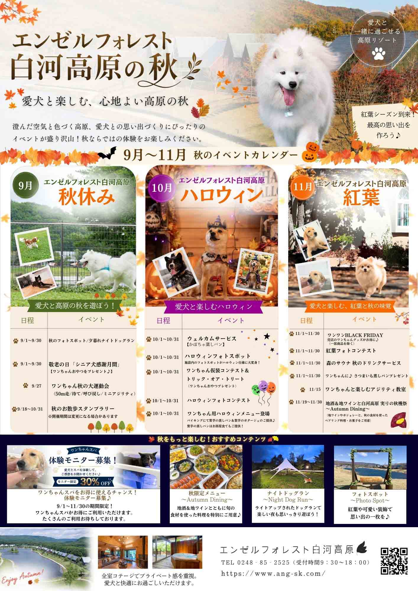 エンゼルフォレスト白河高原の秋画像