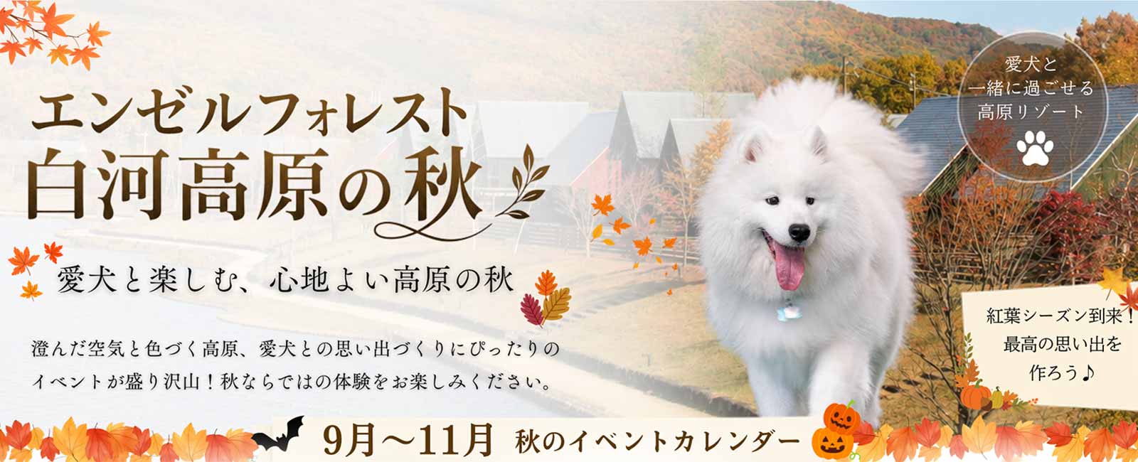 秋のイベント画像