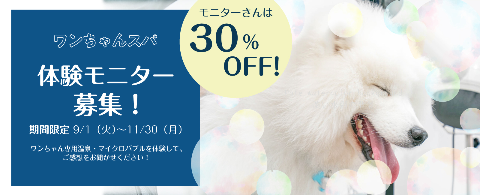 ワンスパモニター募集！画像