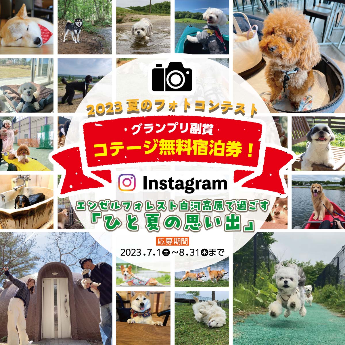 インスタグラムフォトコンテスト画像1
