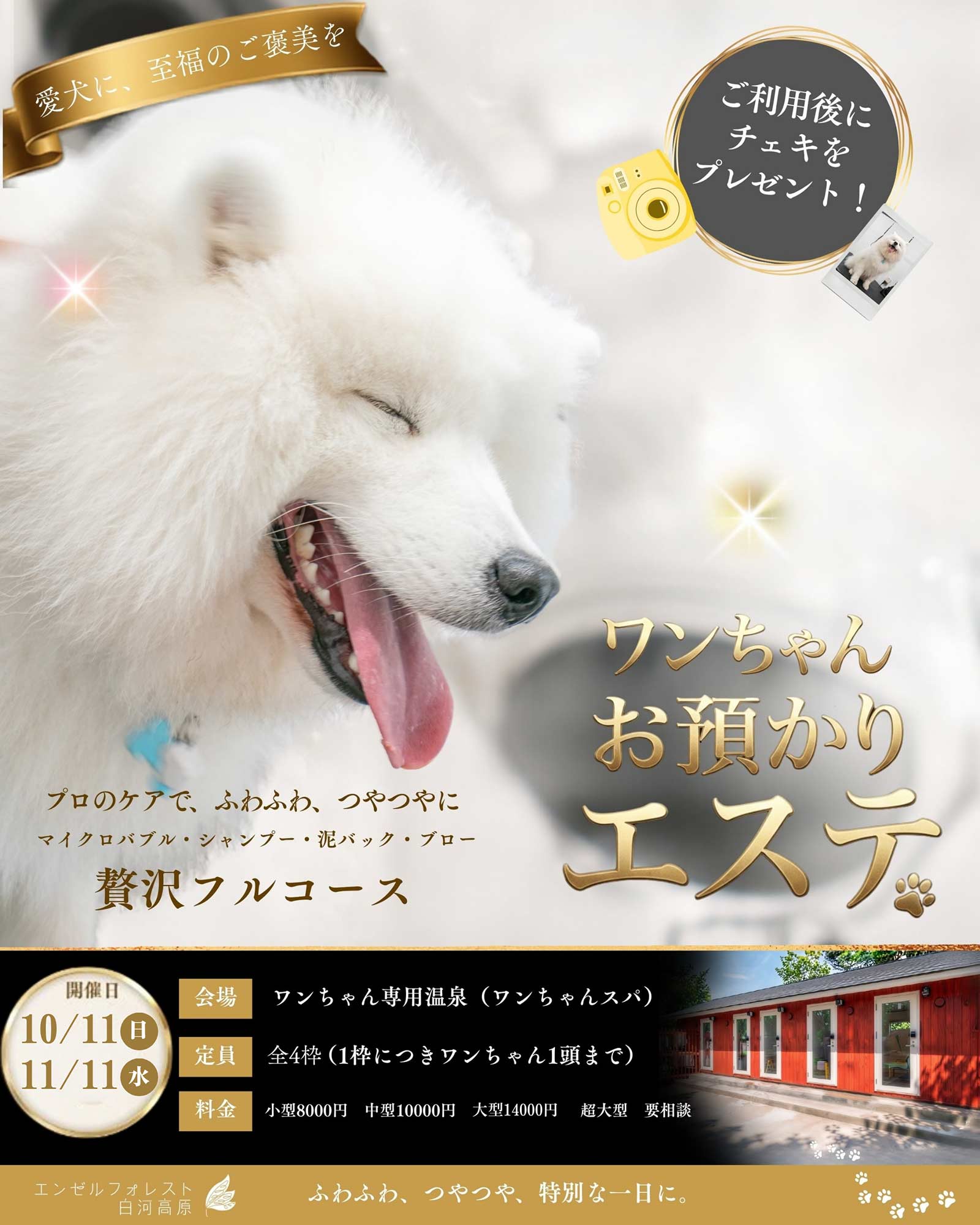 ワンちゃん預かりエステサービス画像