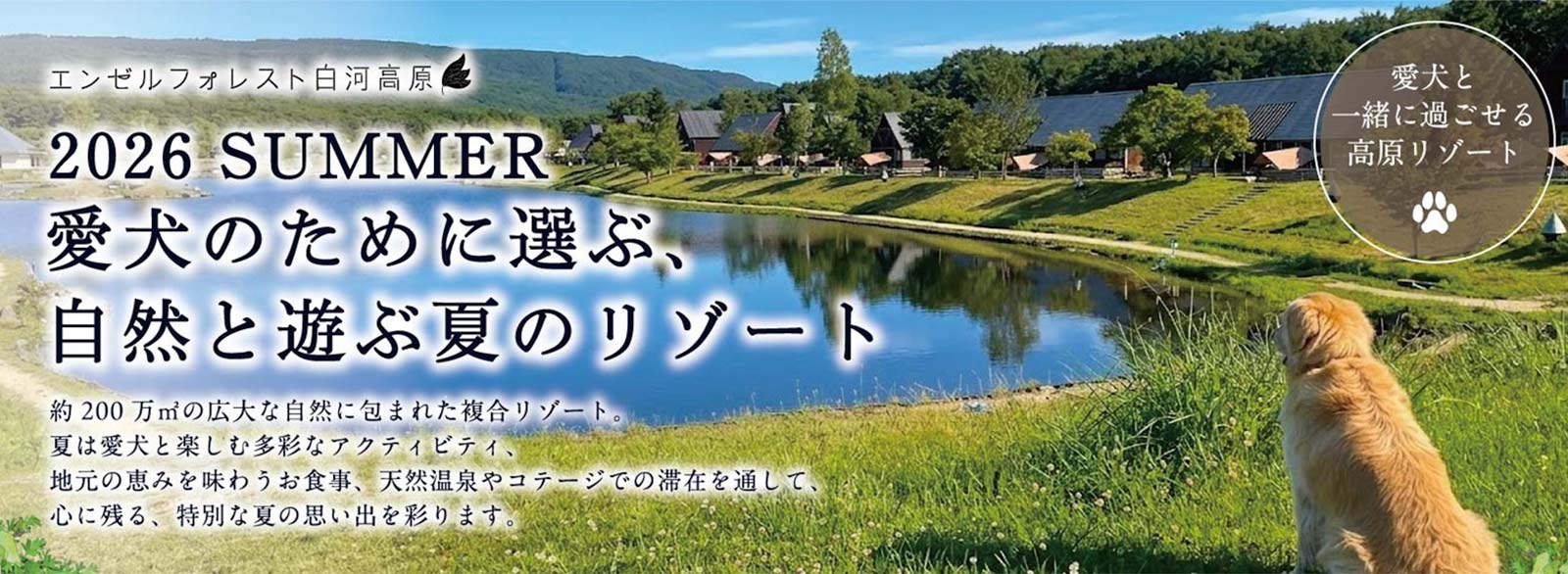 夏休みの過ごし方画像