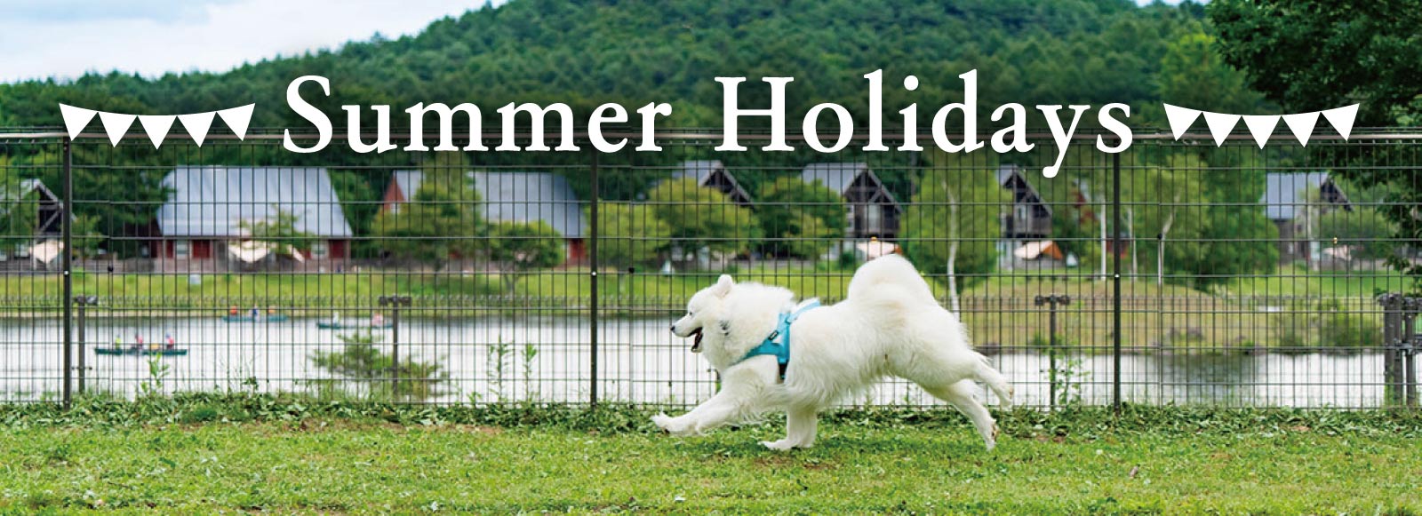 夏休みの過ごし方画像