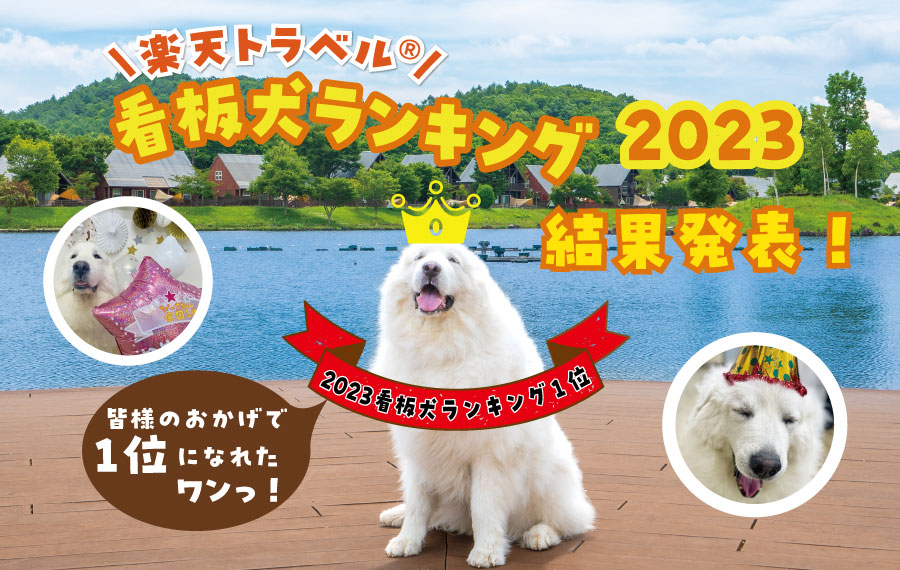 2023楽天トラベル看板犬ランキング、ジーナが1位になりました！