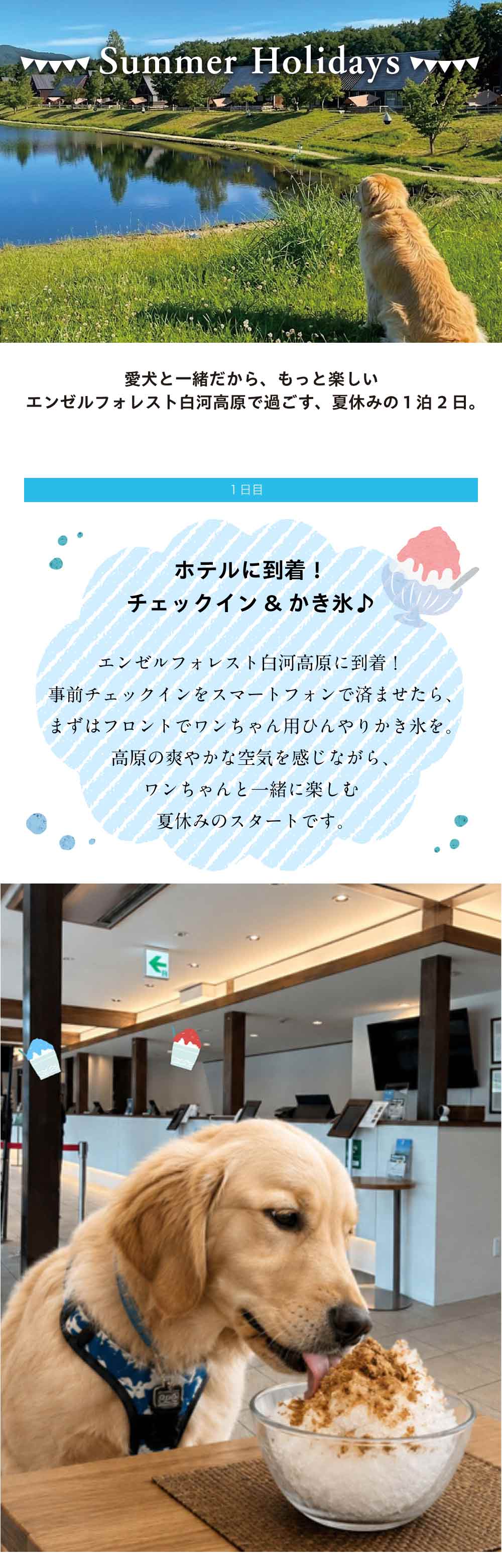 夏休みの過し方sp画像1
