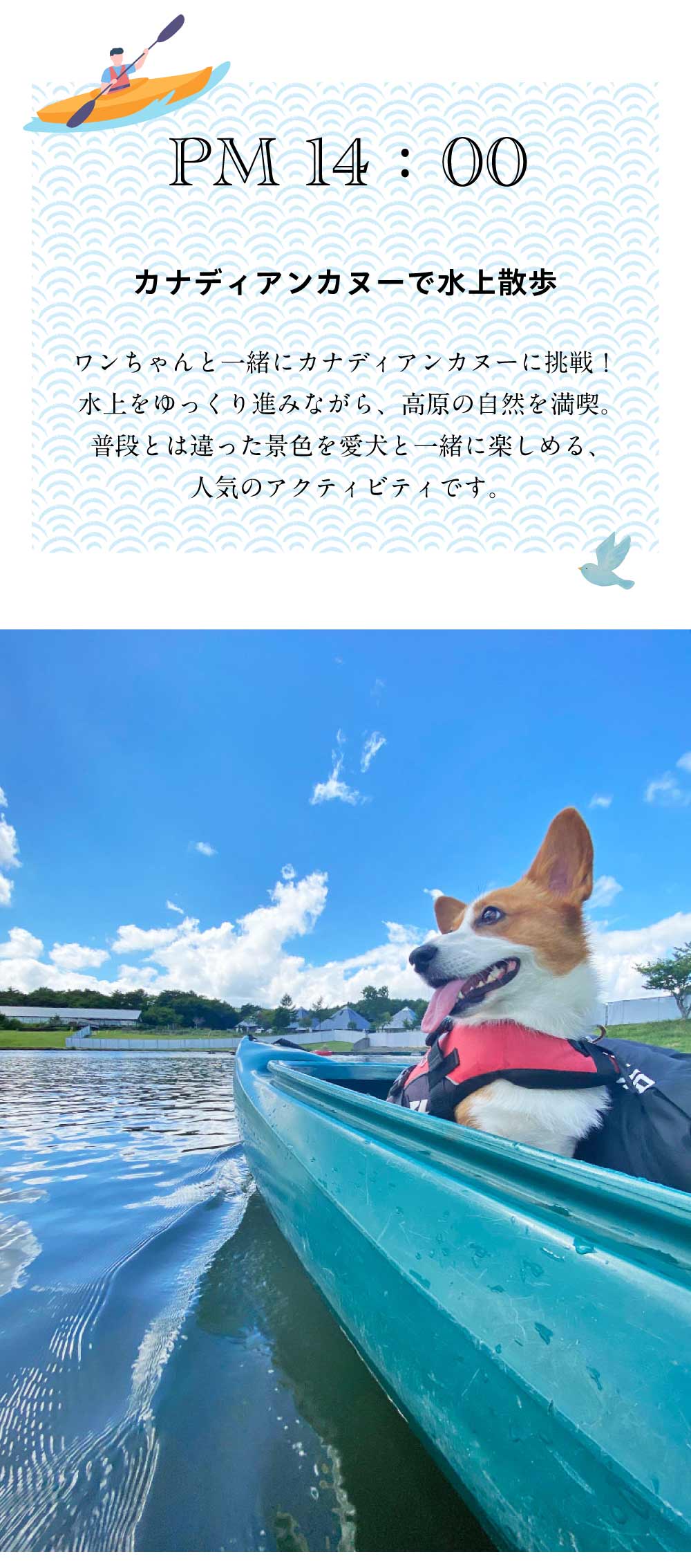 夏休みの過し方sp画像2