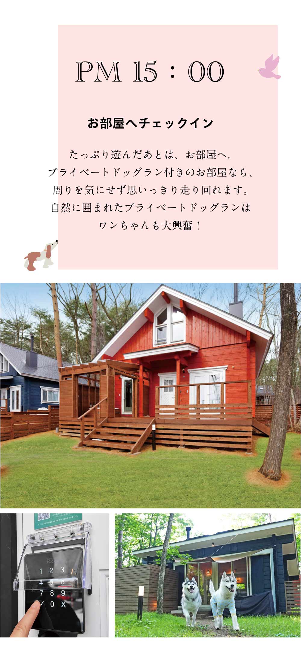 夏休みの過し方sp画像3