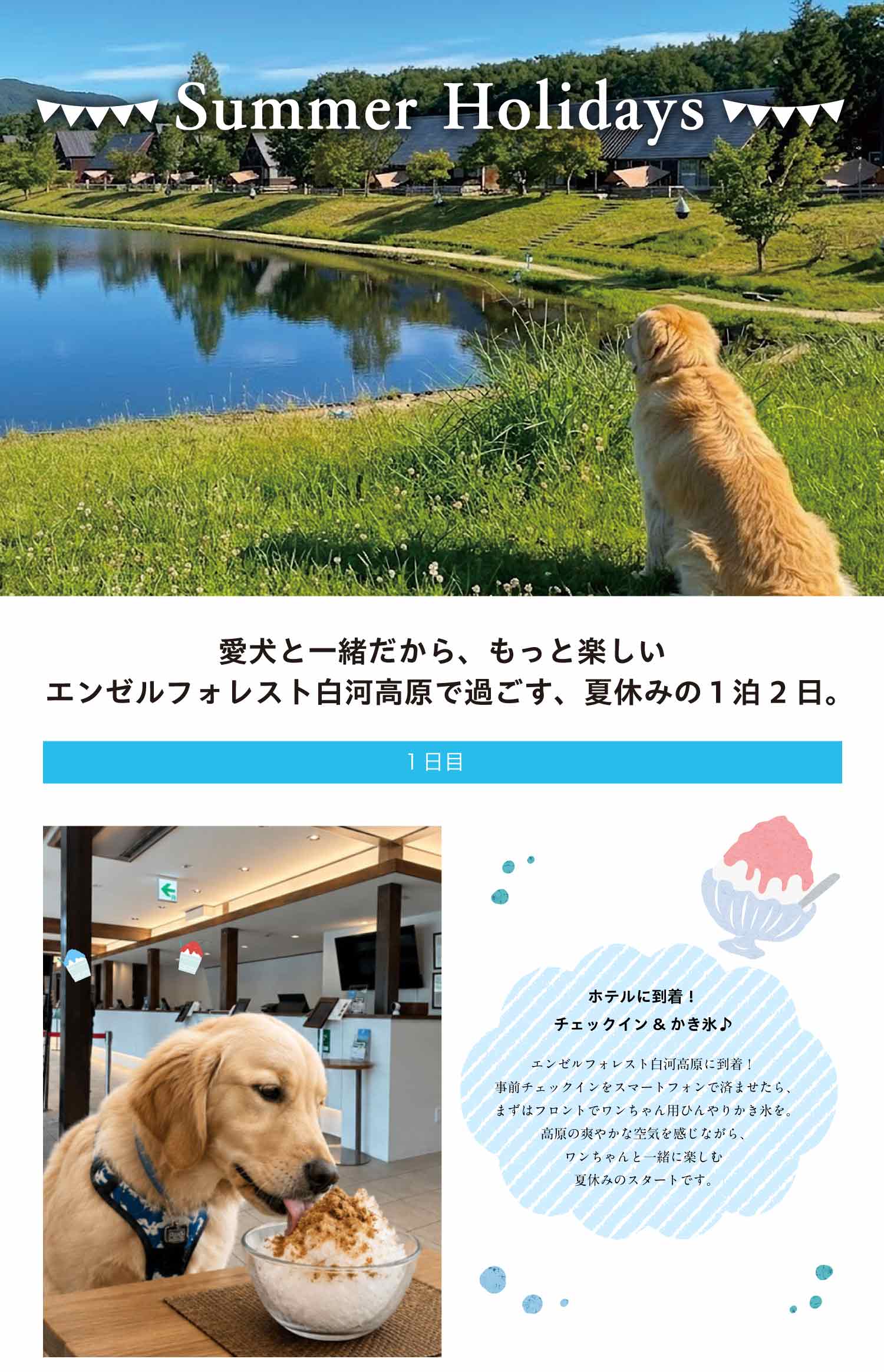 夏休みの過し方画像1