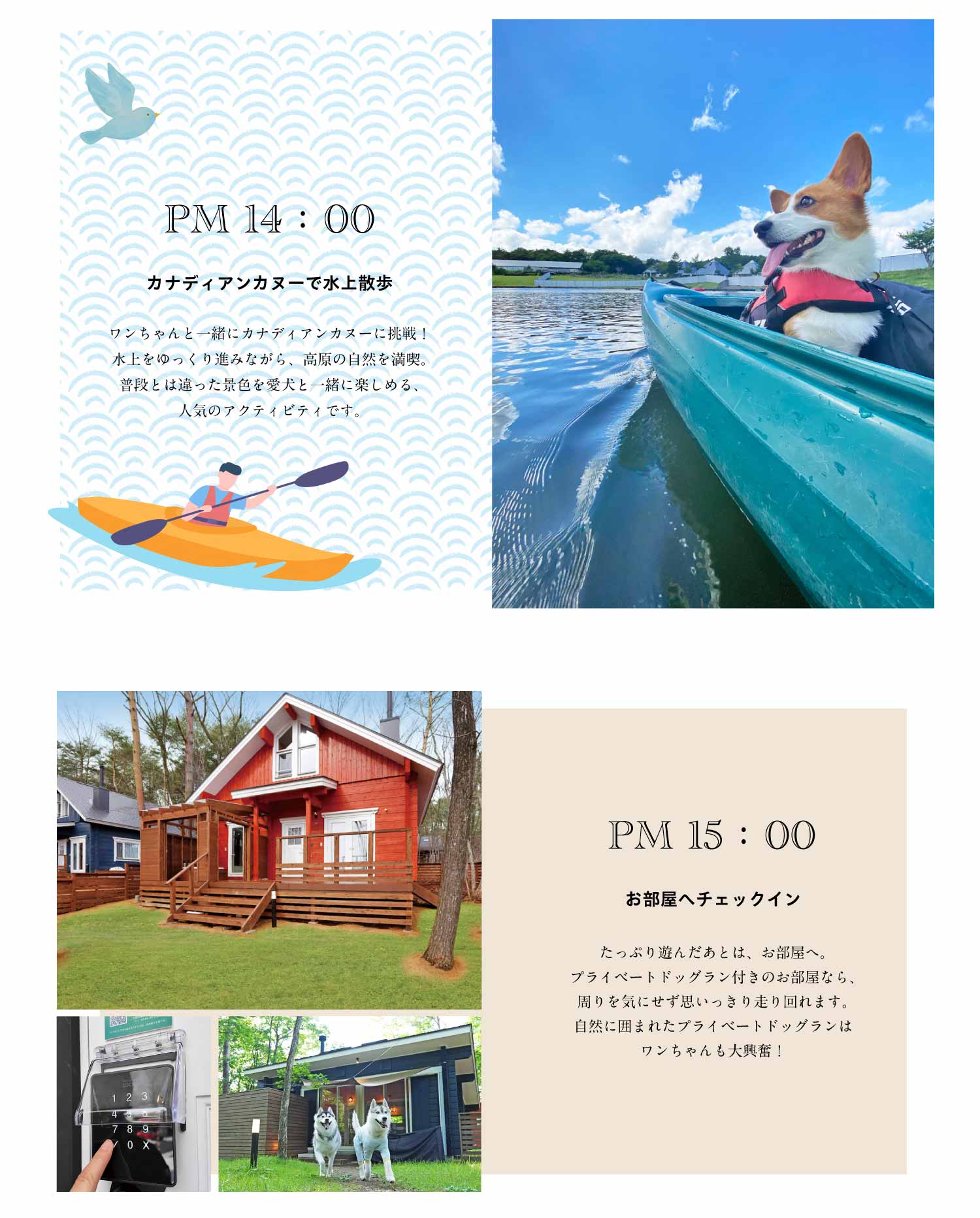 夏休みの過し方画像2
