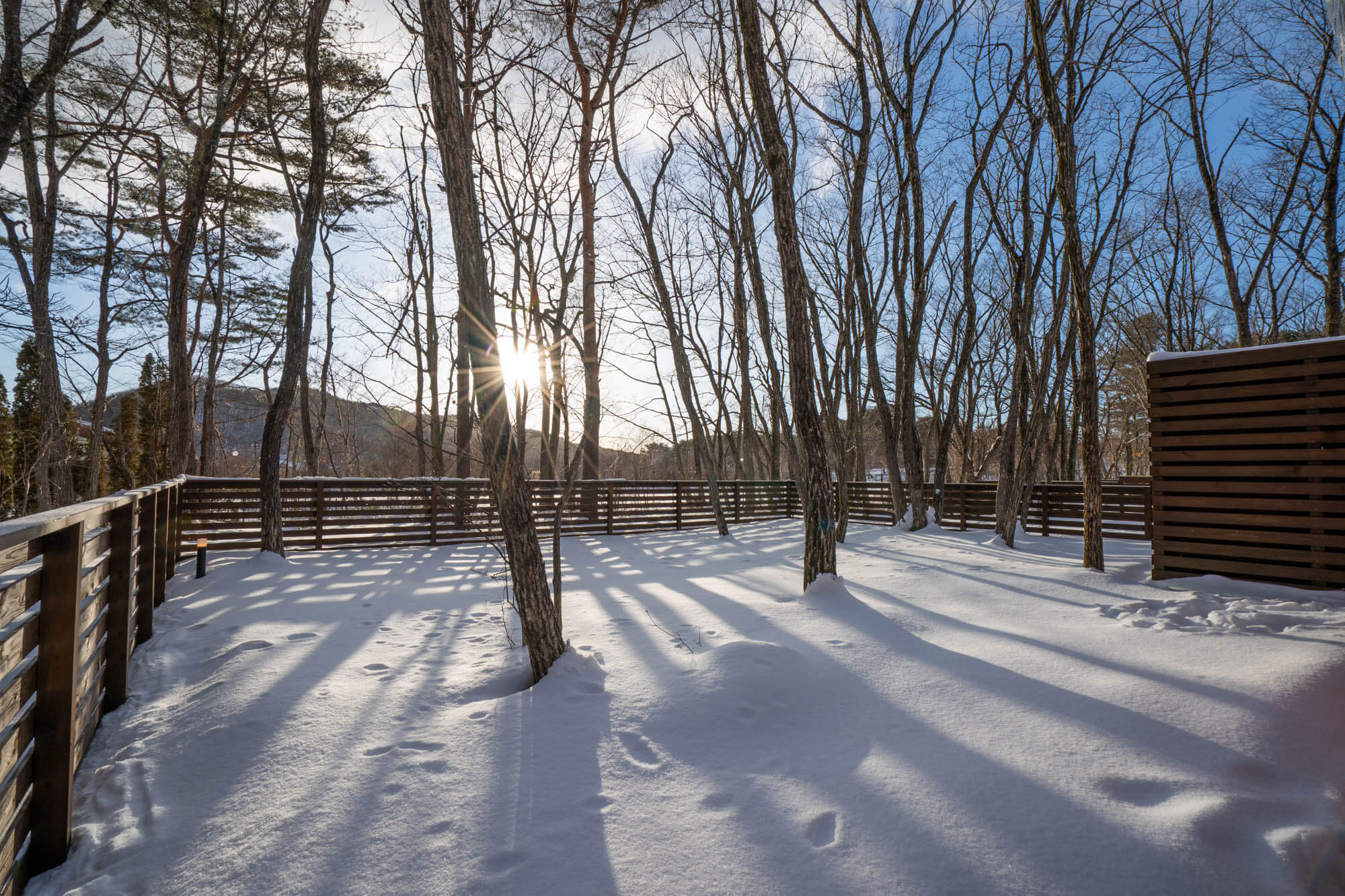 スライドイメージ003