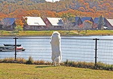 滞在中の過ごし方画像