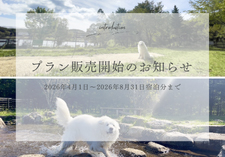 プラン販売開始の画像