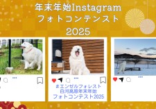 フォトコンテスト2025画像