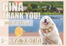 ジーナ看板犬引退式画像
