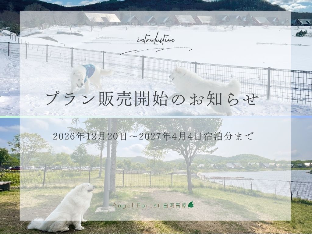 プラン販売開始の画像