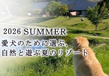 夏の過ごし方2026画像