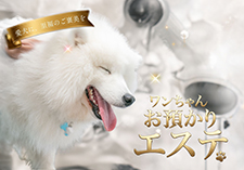 ワンちゃん預かりエステサービス画像