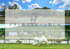 プラン販売開始の画像