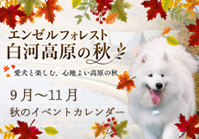 秋のイベント2026画像