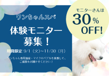 ワンスパモニターキャンペーン画像